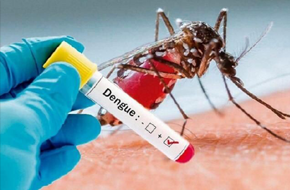 Dengue